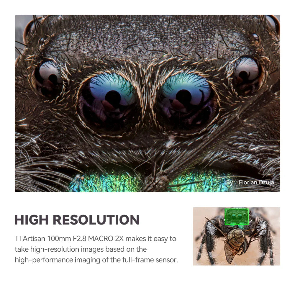 TTartisan 100mm F2.8 2X Macro Full Frame Lens - Vitopal