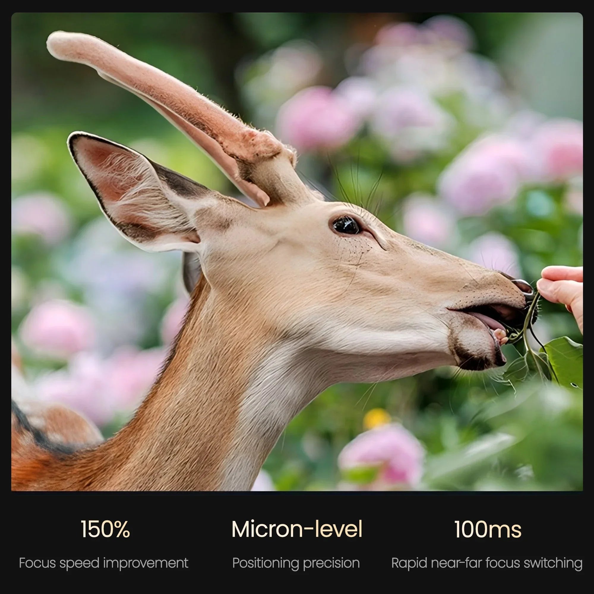 Viltrox AF 85mm F1.4 Pro FE Full Frame Lens