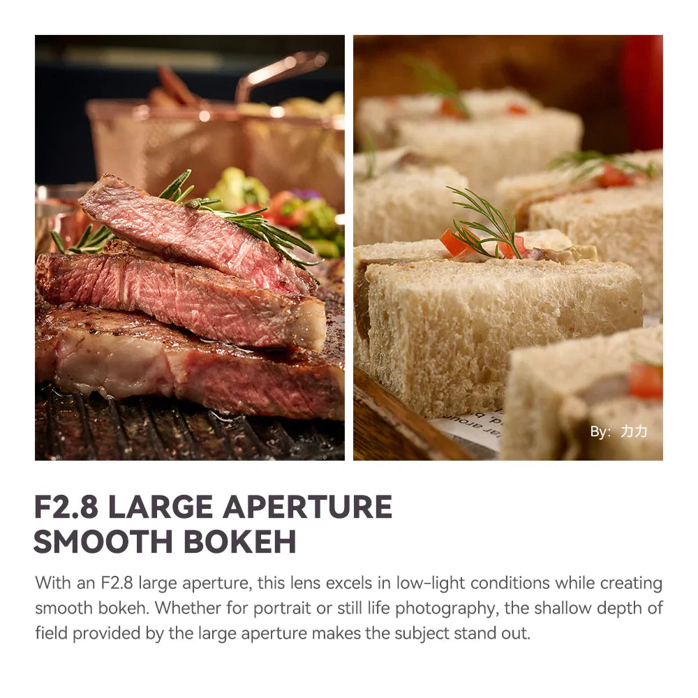 TTartisan 100mm F2.8 2X Macro Full Frame Lens - Vitopal