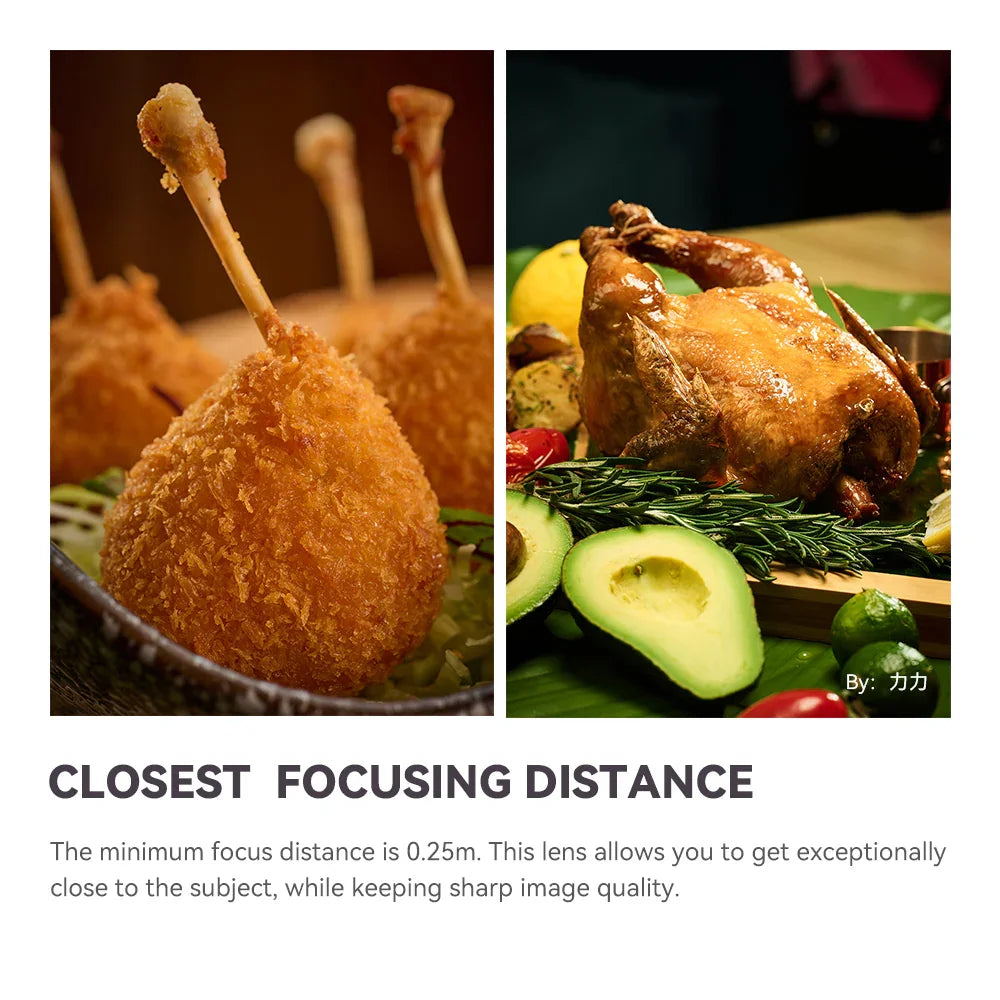 TTartisan 100mm F2.8 2X Macro Full Frame Lens - Vitopal