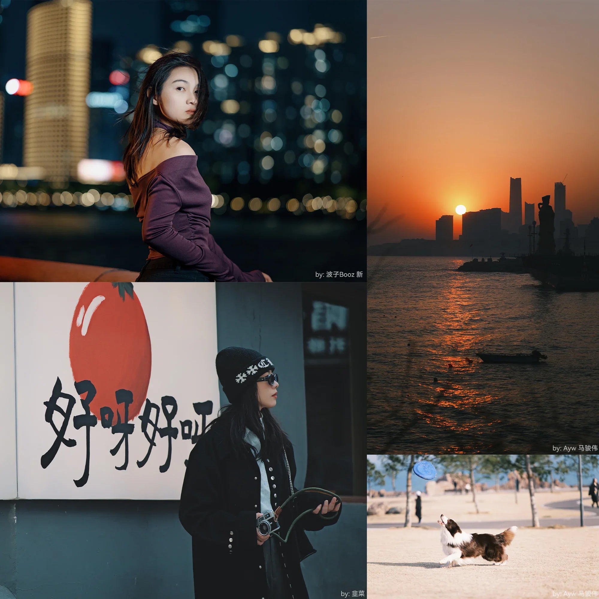 Night city portrait of woman, urban sunset skyline, stylish woman with camera, dog catching frisbee in park