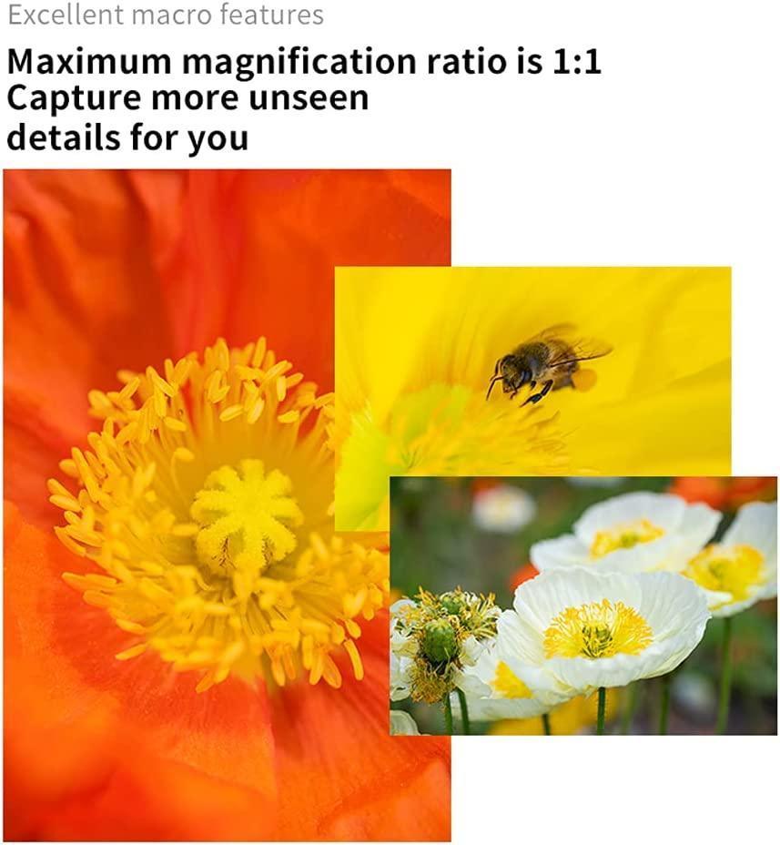 7artisans 60mm F2.8 II APS-C Macro Lens - Vitopal