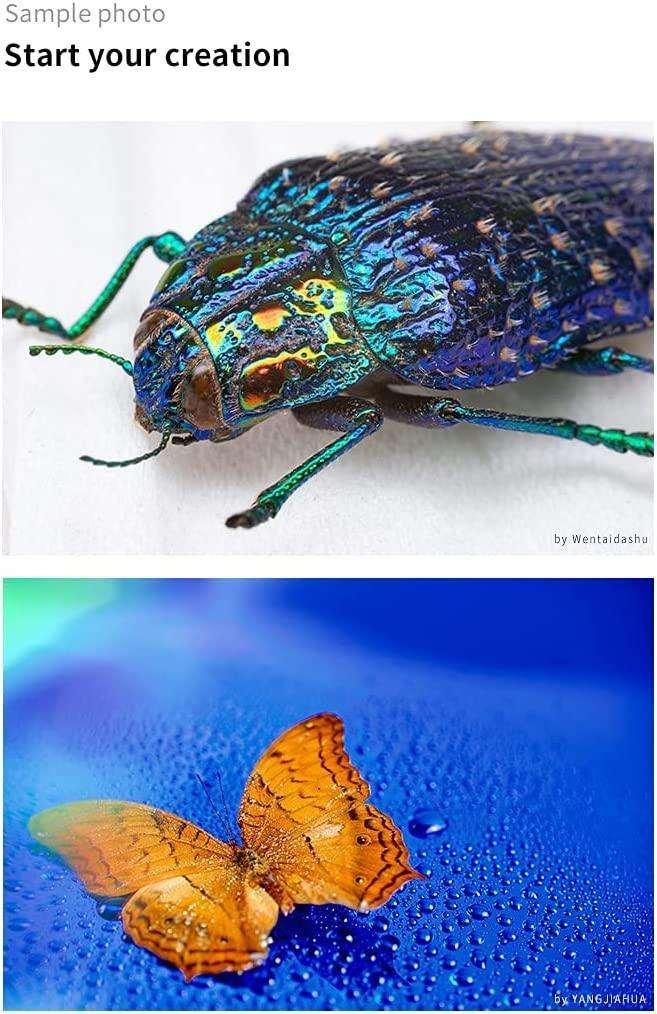 7artisans 60mm F2.8 II APS-C Macro Lens - Vitopal