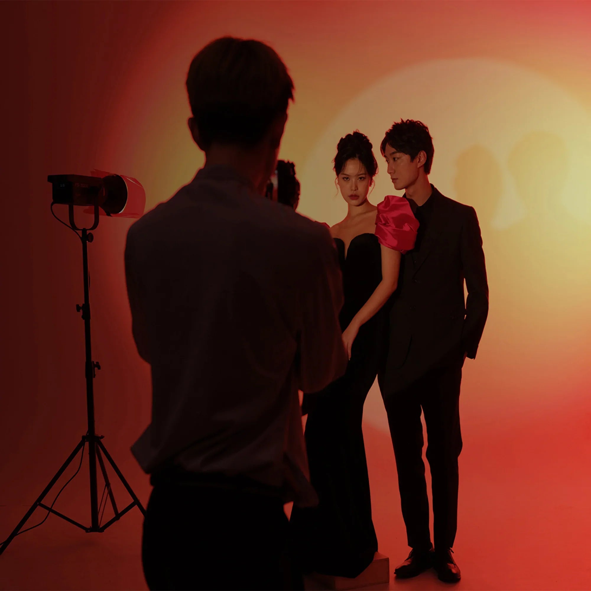 Nanlite FS-300B Bi-Color LED Monolight - Vitopal