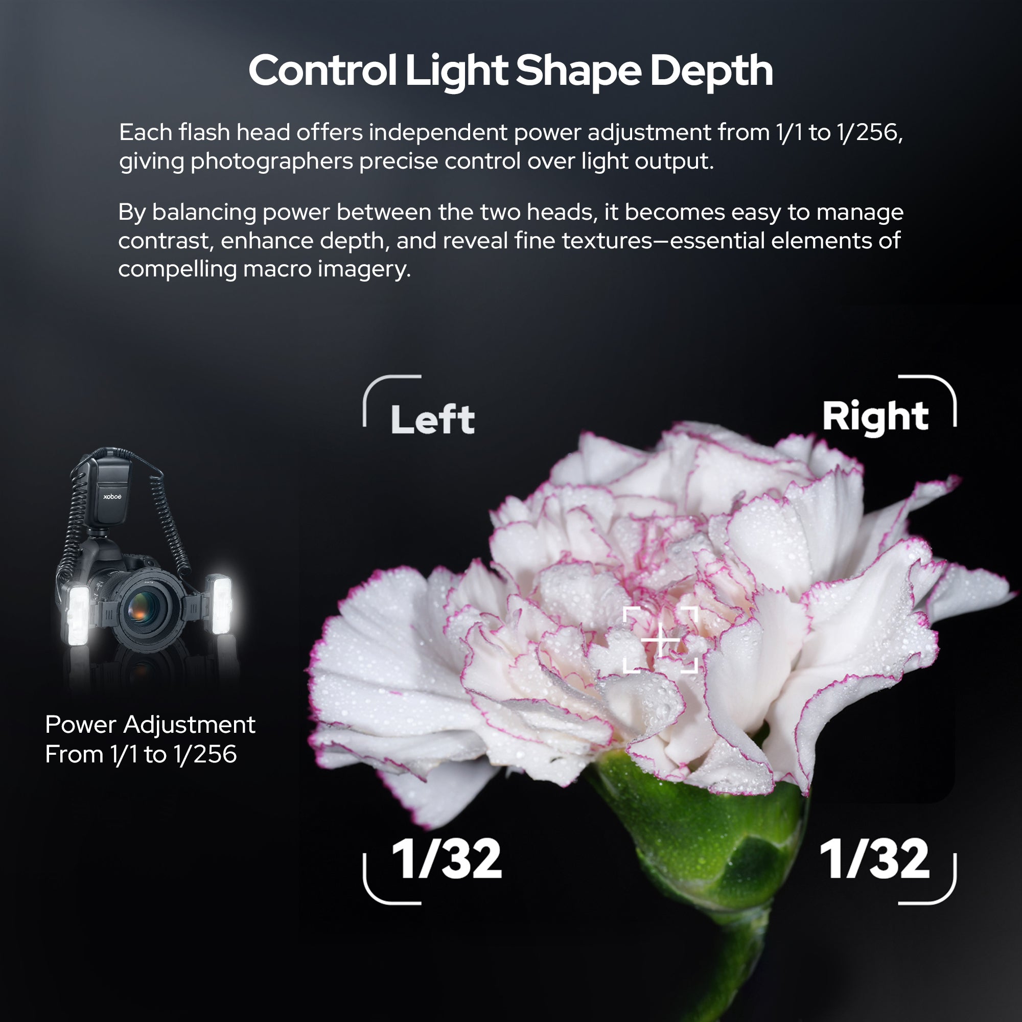 Godox MF-T76 Macro Twin Flash Kit