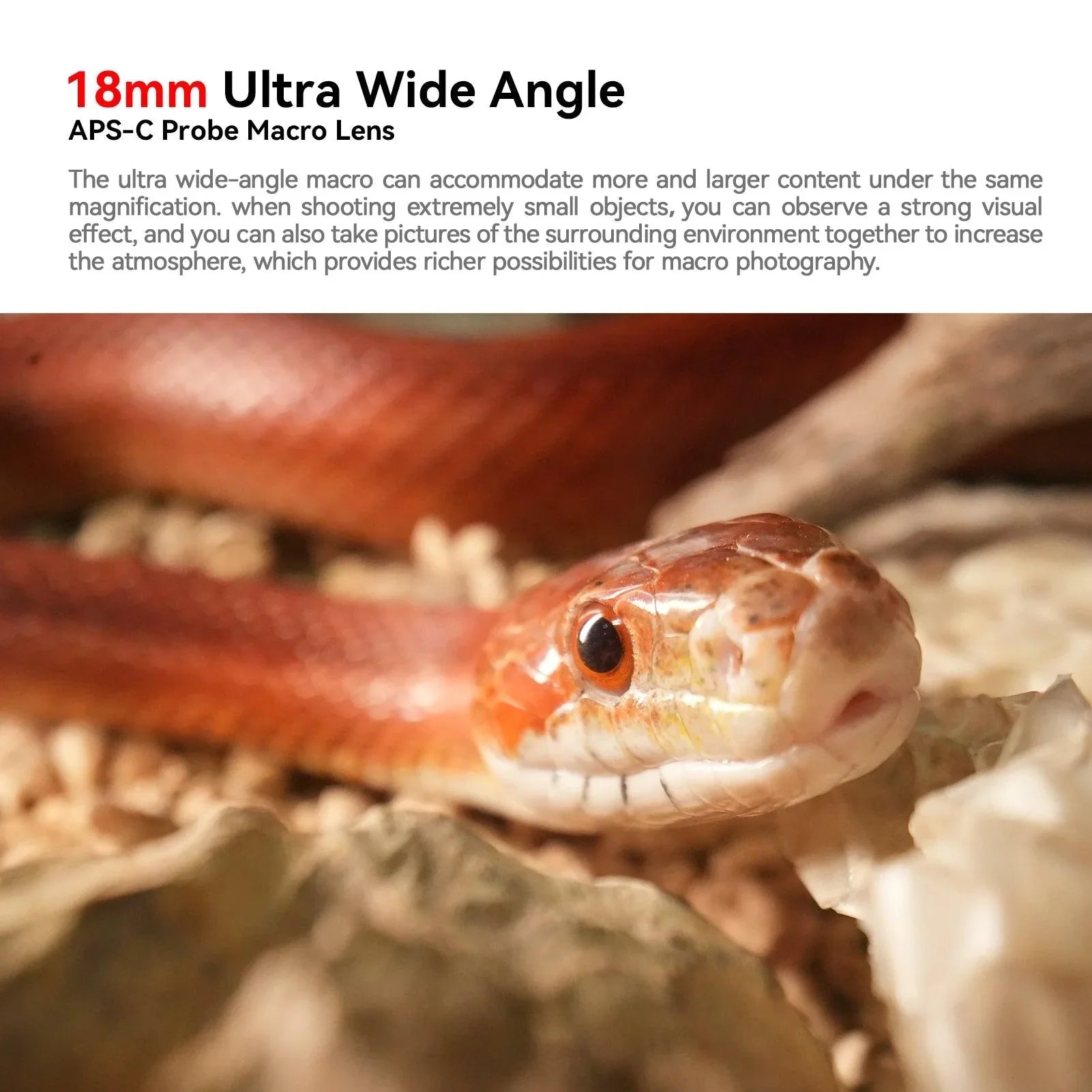 AstrHori 18mm F8 2X Macro Probe Lens - Vitopal