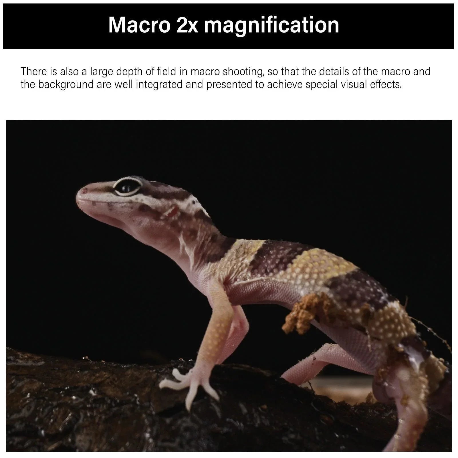 AstrHori 28mm F13 2X Macro Probe Full Frame Lens - Vitopal