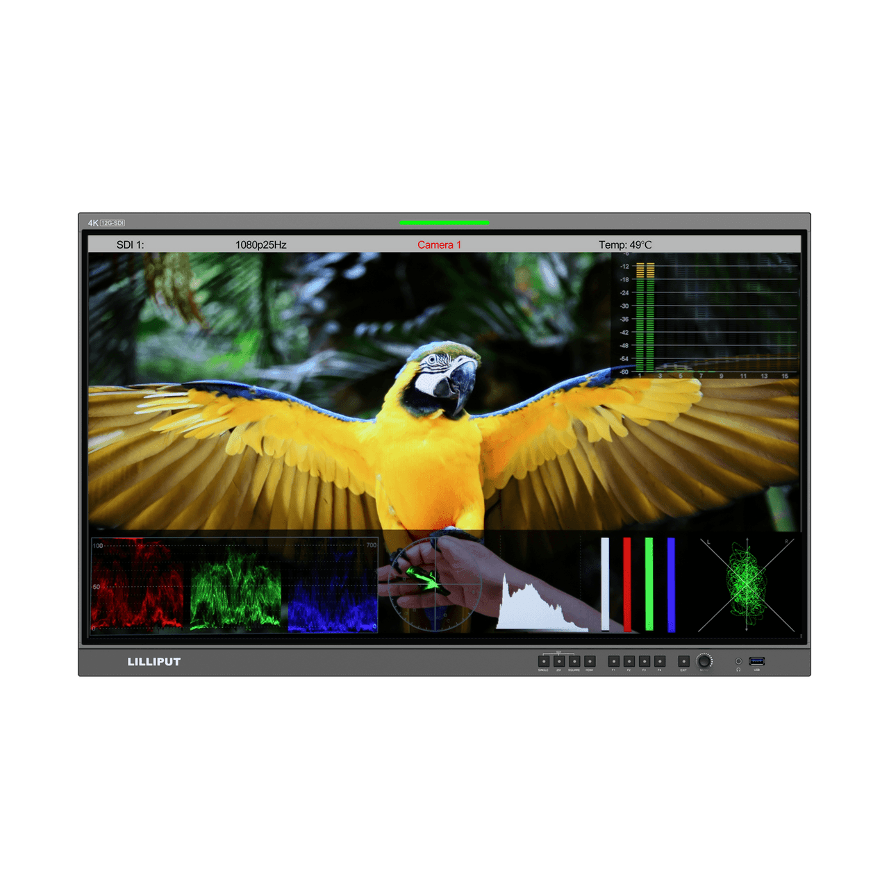 Lilliput Q31 31.5 inch 12G-SDI Professional Broadcast Production Studio Monitor