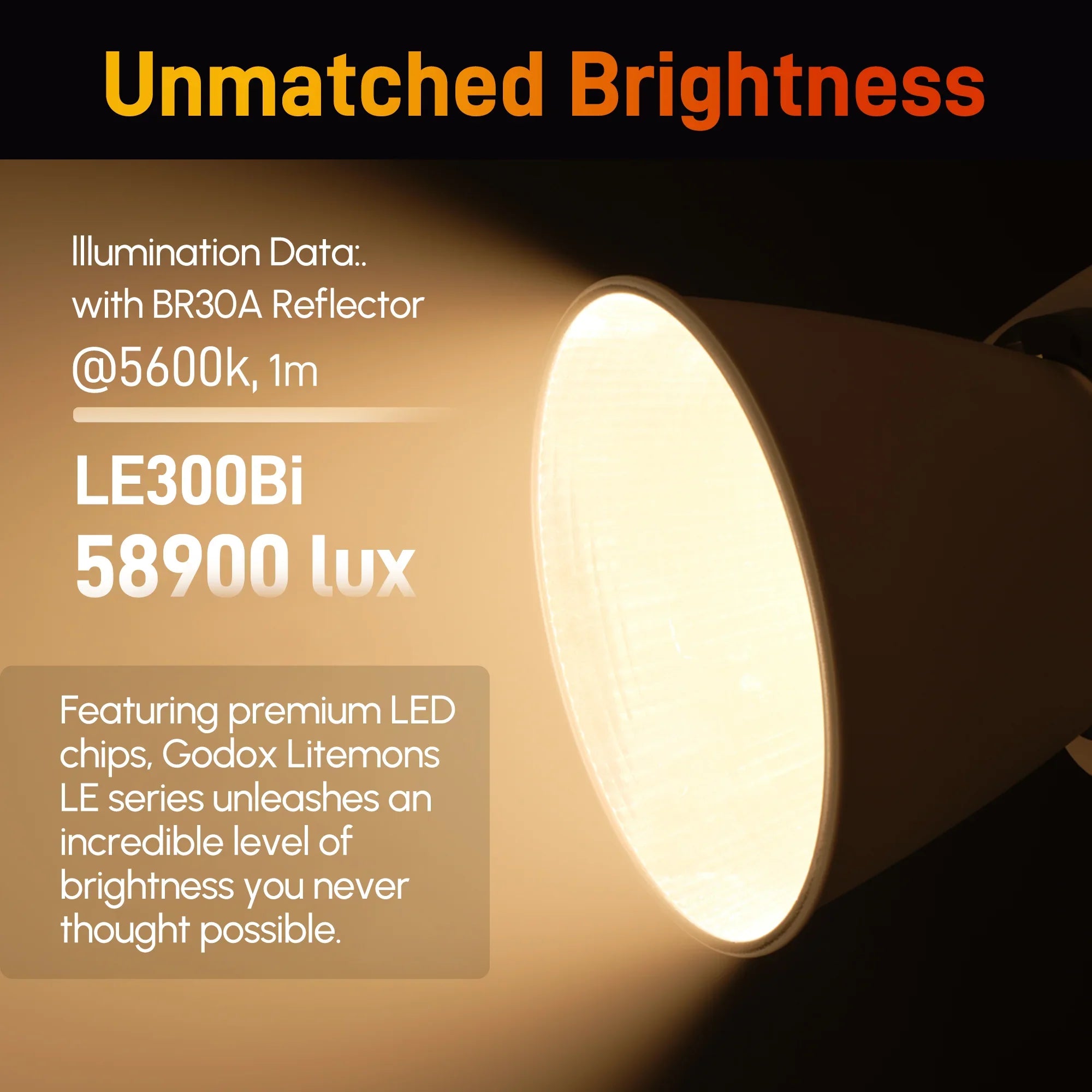 Godox Litemons LE300Bi LED Video Light