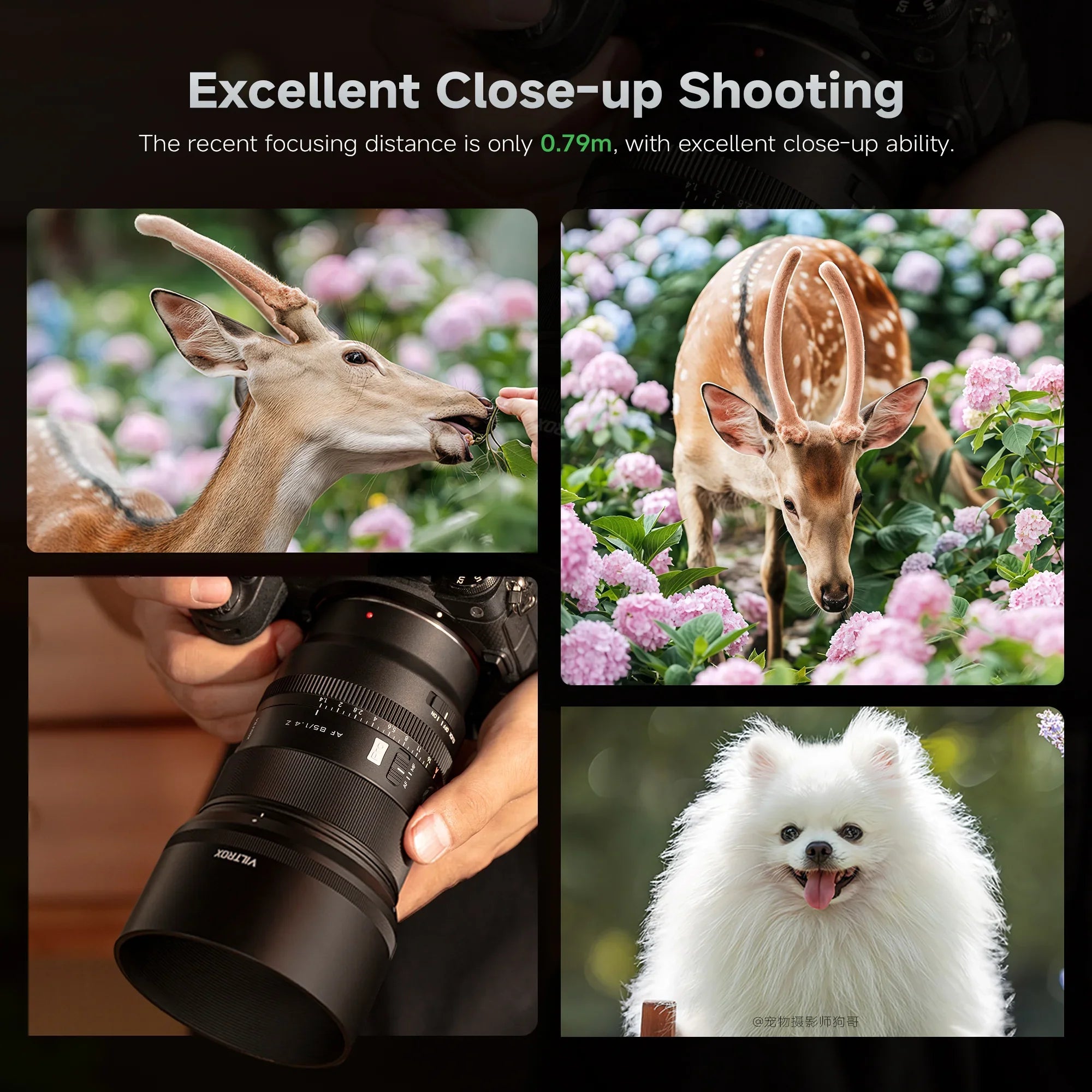 Viltrox AF 85mm F1.4 Pro Full Frame Lens for Nikon Z-mount