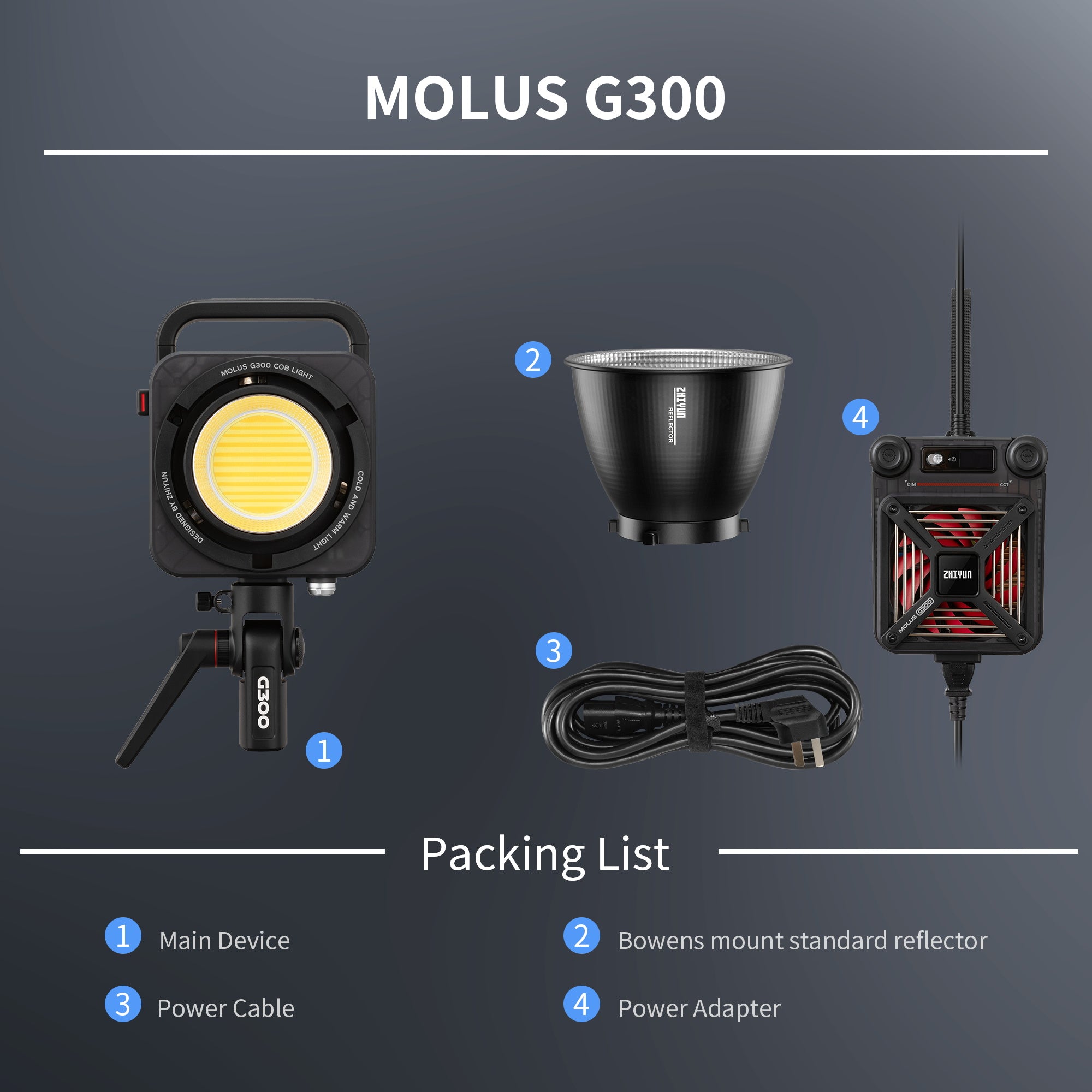 ZHIYUN MOLUS G300 300W COB Video Light