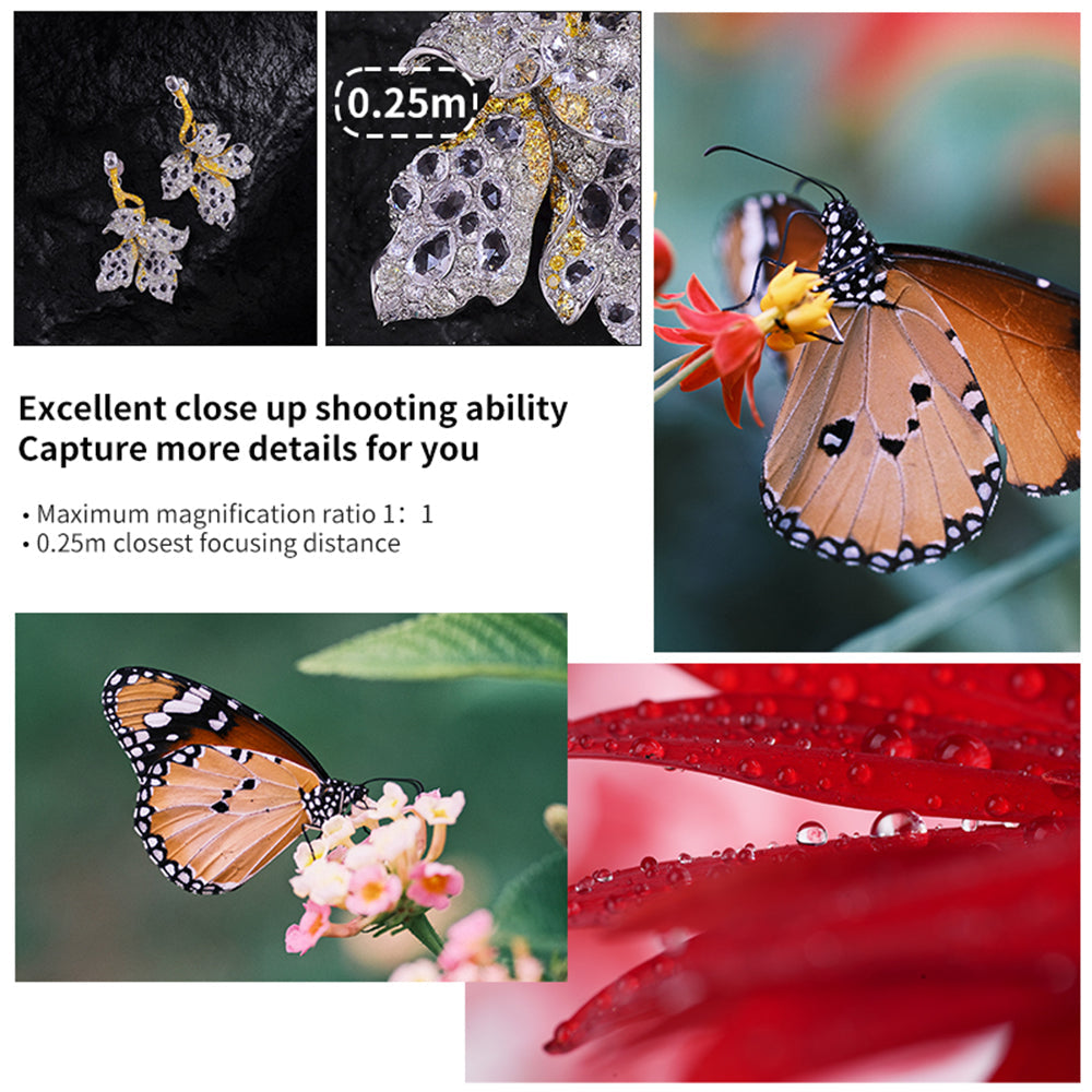 Astrhori 85mm F2.8 Full Frame Tilt-Macro Lens